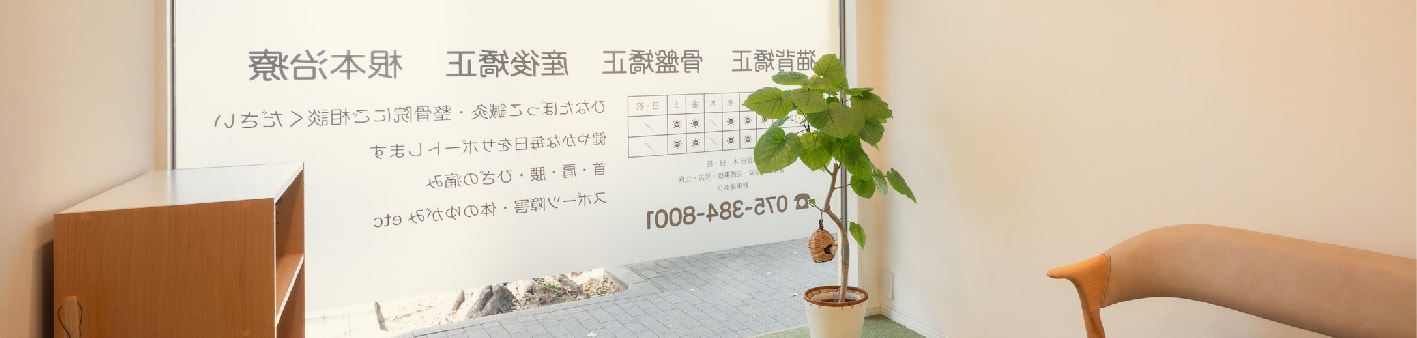 明るい陽射しが差し込む待合スペース。落ち着いた雰囲気のソファと観葉植物。